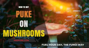 Avoiding Nausea: Tips for a Comfortable Mushroom Experience