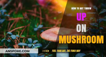 Avoiding Nausea: Tips for a Comfortable Mushroom Experience