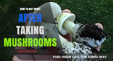 Preventing Nausea: Tips to Avoid Vomiting After Consuming Mushrooms