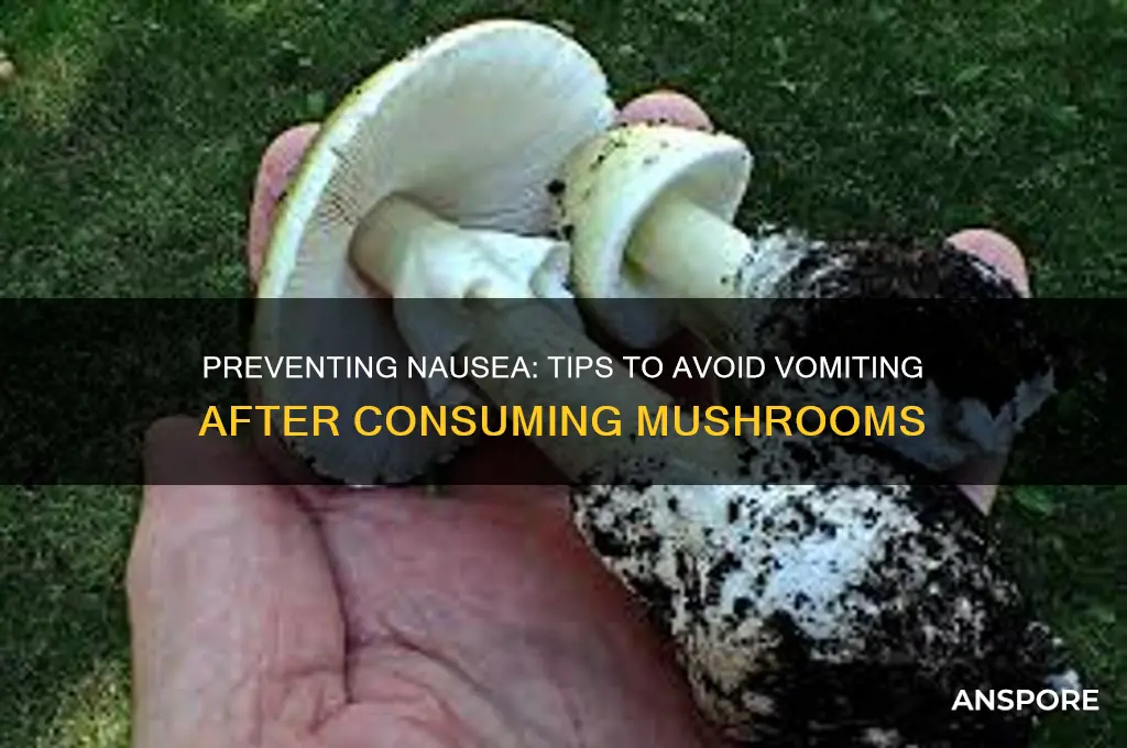 how to not vomit after taking mushrooms