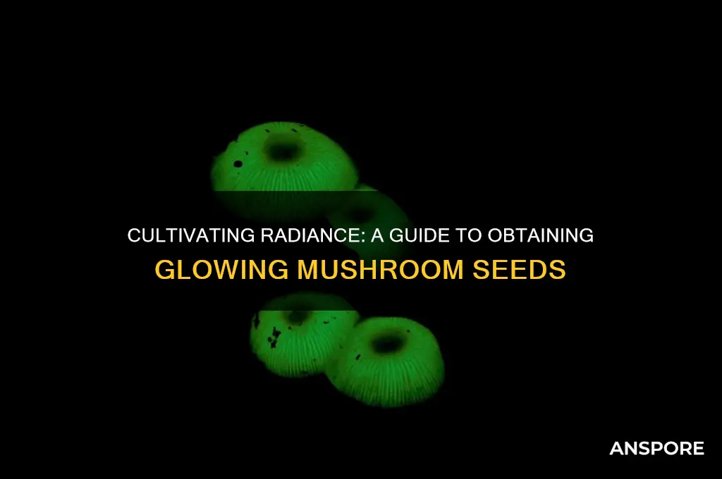 how to obtain glowing mushroom seeds