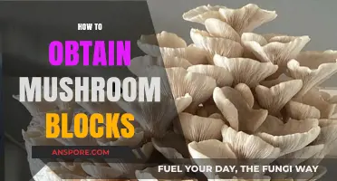 Cultivating Mushroom Blocks: A Step-by-Step Guide