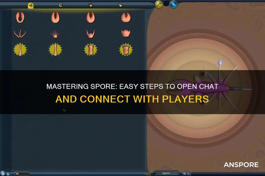 how to open chat in spore