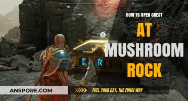 Unlocking Mushroom Rock's Chest: A Step-by-Step Guide to Treasure