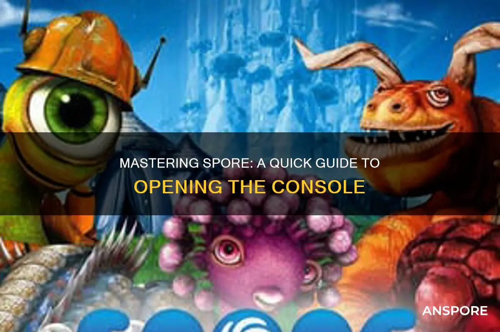 how to open consol in spore
