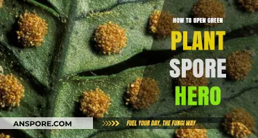 Unlocking Green Plant Spore Hero: A Step-by-Step Guide to Success