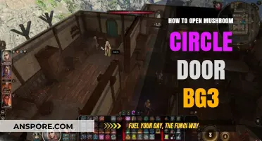 Unlocking the Mushroom Circle Door in Baldur's Gate 3: A Guide