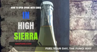 Running Spore on High Sierra: Cider Setup Guide for Gamers