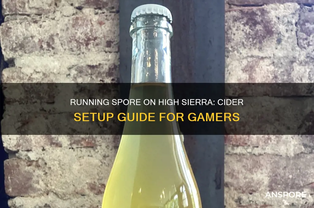 how to open spore with cider in high sierra