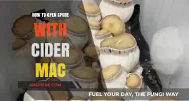 Run Spore on Mac with Cider: A Step-by-Step Guide