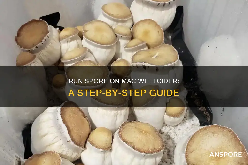 how to open spore with cider mac
