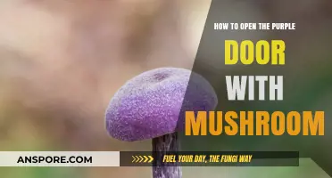 Unlocking the Purple Door: A Mushroom-Powered Guide to Success