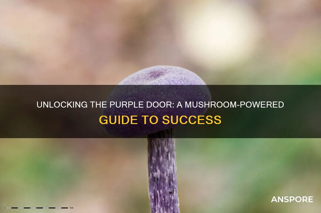 how to open the purple door with mushrooms