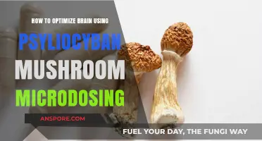 Unlock Cognitive Potential: Psilocybin Microdosing for Brain Optimization