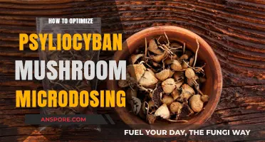 Mastering Psilocybin Microdosing: Tips for Optimal Effects and Benefits