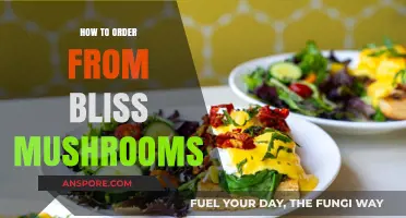 A Beginner's Guide to Ordering Bliss Mushrooms Online Safely