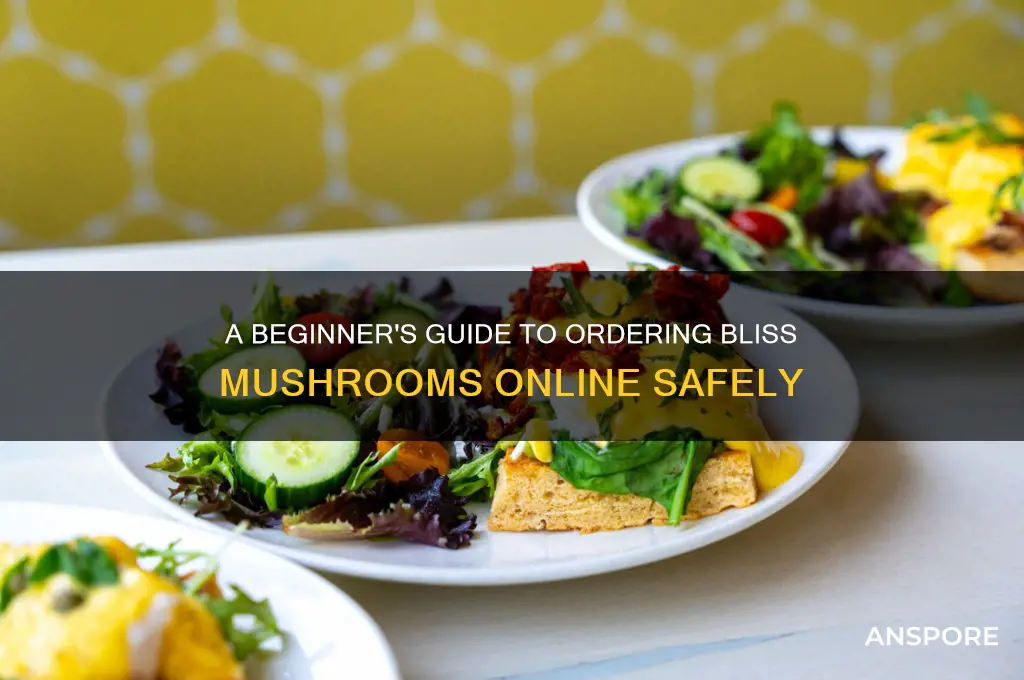 how to order from bliss mushrooms
