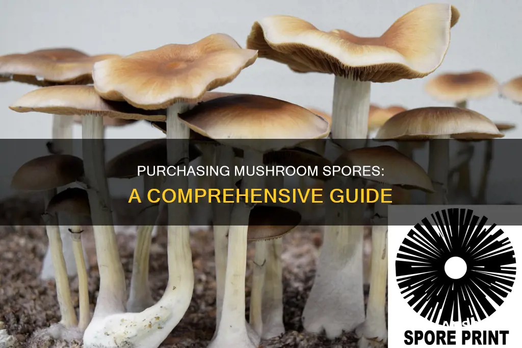 how to order mushroom spores