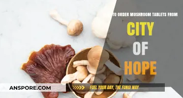 Ordering Mushroom Tablets from City of Hope: A Step-by-Step Guide