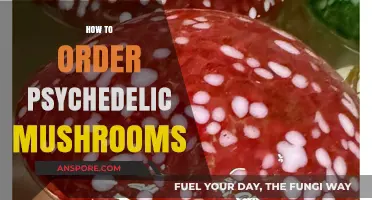 The Ultimate Guide to Ordering Psychedelic Mushrooms