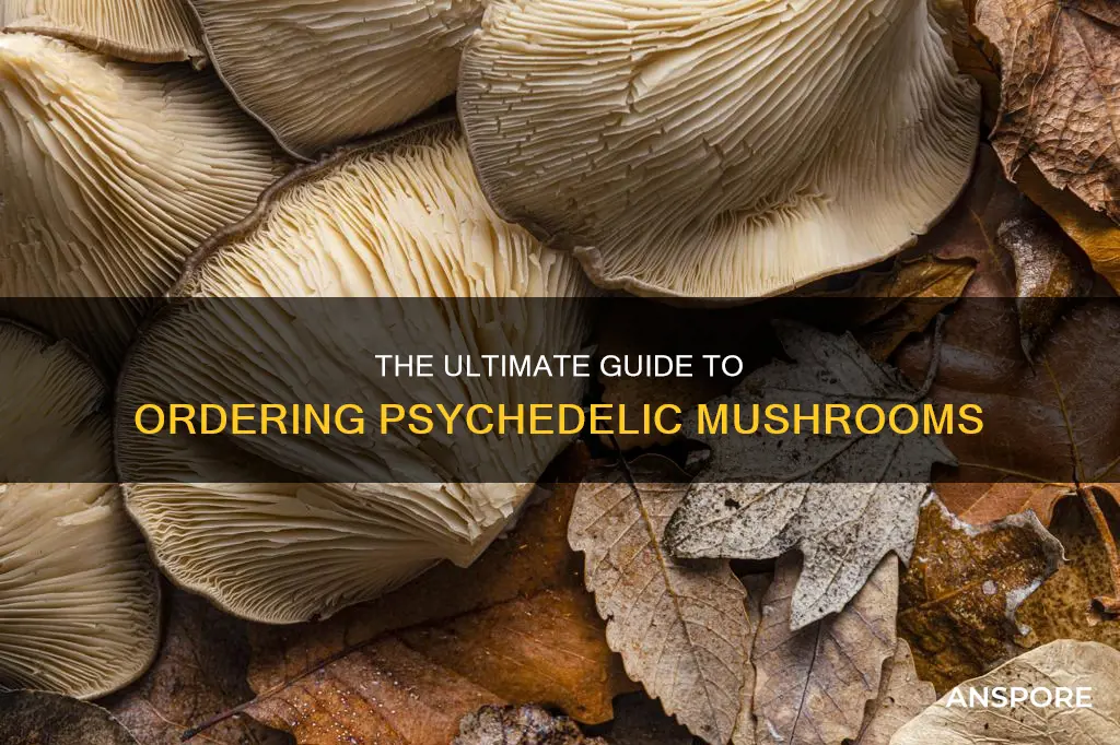 how to order psychedelic mushrooms