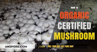 Grow Organic Mushrooms: Get Certified!