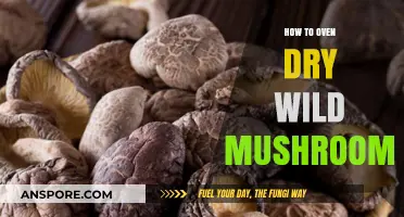 Oven Drying Wild Mushrooms: A Simple Preservation Guide for Foragers