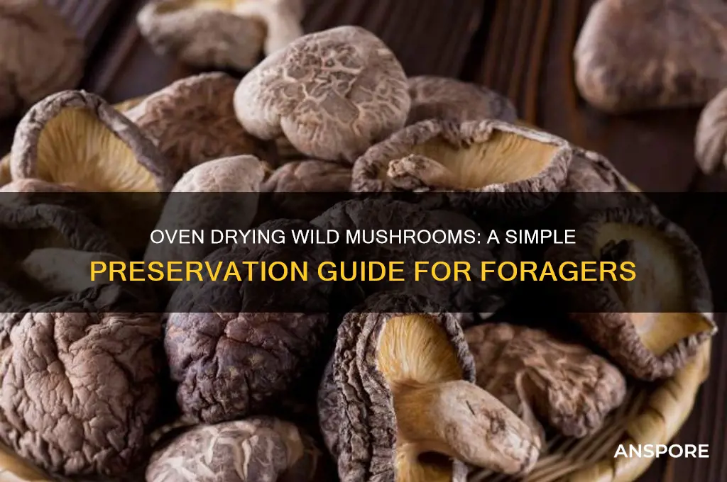 how to oven dry wild mushrooms