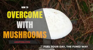 Mushroom Hunting: Overcoming the Fear of Fungi