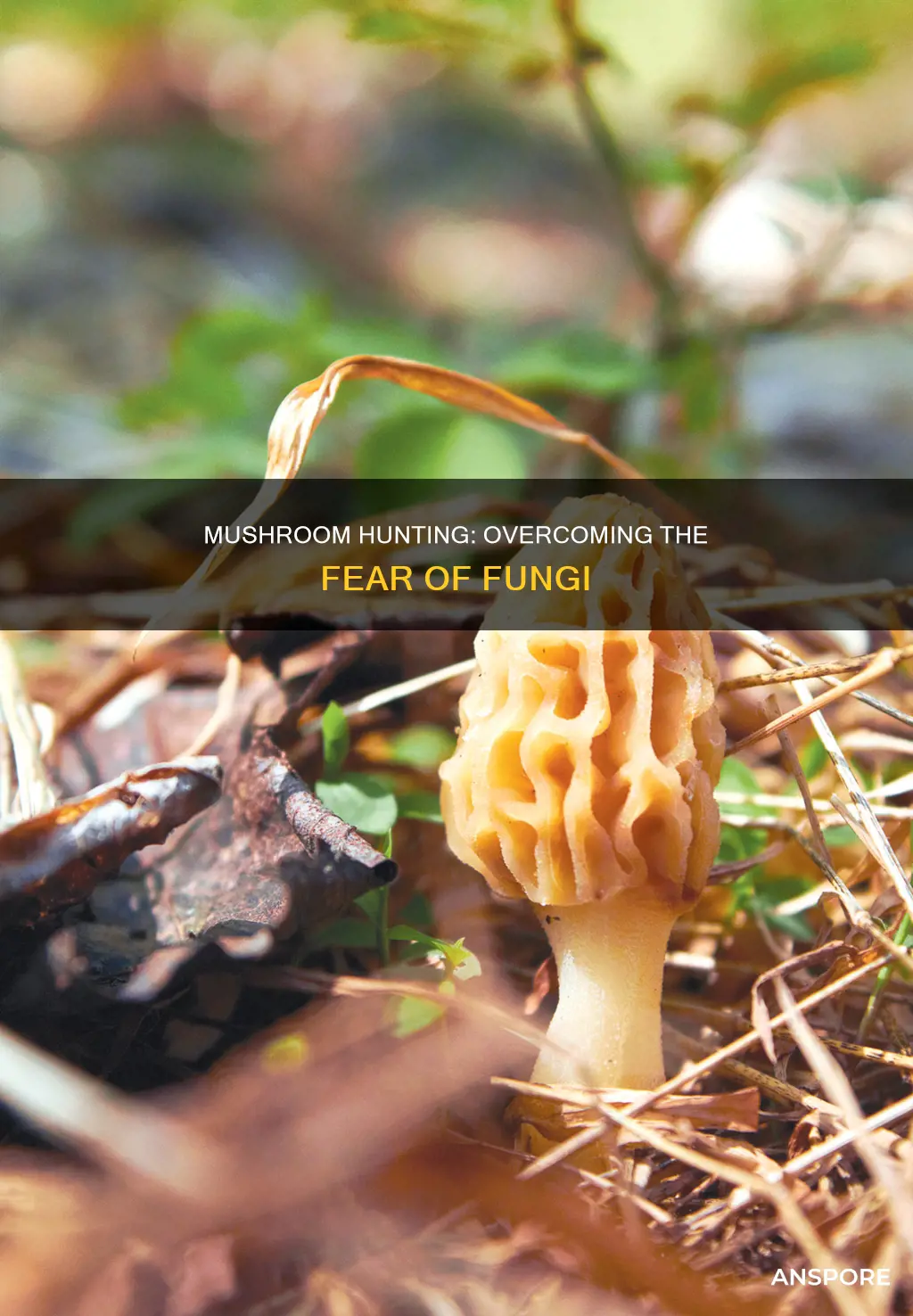 how to overcome with mushrooms