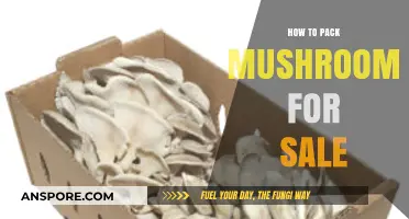 Mastering Mushroom Packaging: Tips for Fresh, Safe, and Attractive Sales