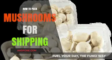 Mastering Mushroom Shipping: Essential Packing Tips for Safe Delivery