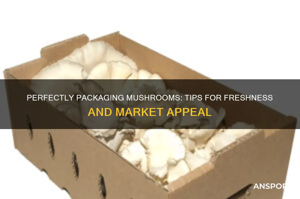 how to package mushrooms for sale