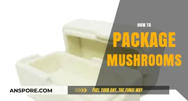 Mushroom Packaging: Best Practices and Tips