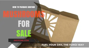 Perfect Packaging: Tips for Selling Shiitake Mushrooms Fresh and Safe