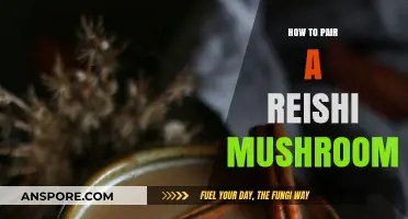 Pairing Reishi Mushrooms: Creative Ways to Enhance Your Wellness Routine
