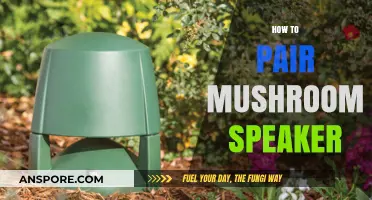 Pairing Mushroom Speakers: A Step-by-Step Guide