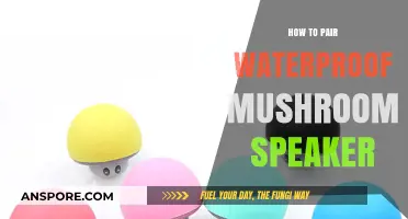 Pairing Your Waterproof Mushroom Speaker: A Step-by-Step Guide
