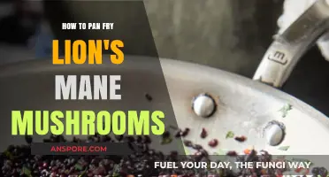 Perfectly Crispy Lion's Mane Mushrooms: A Pan-Frying Guide