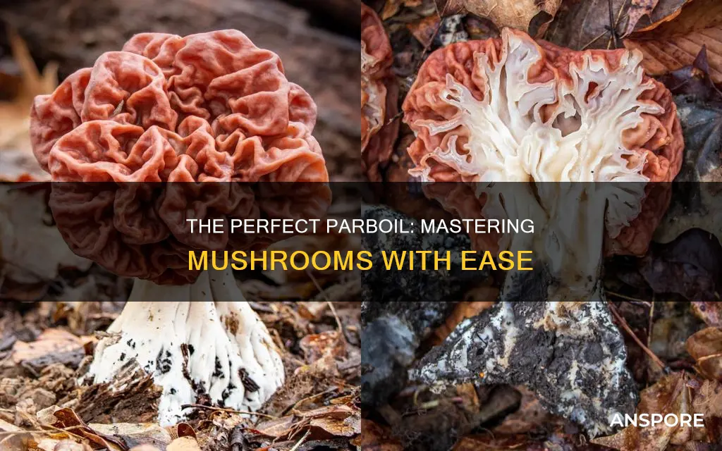 how to parboil a mushroom