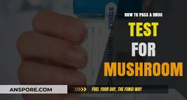 Effective Strategies to Pass a Drug Test After Mushroom Use