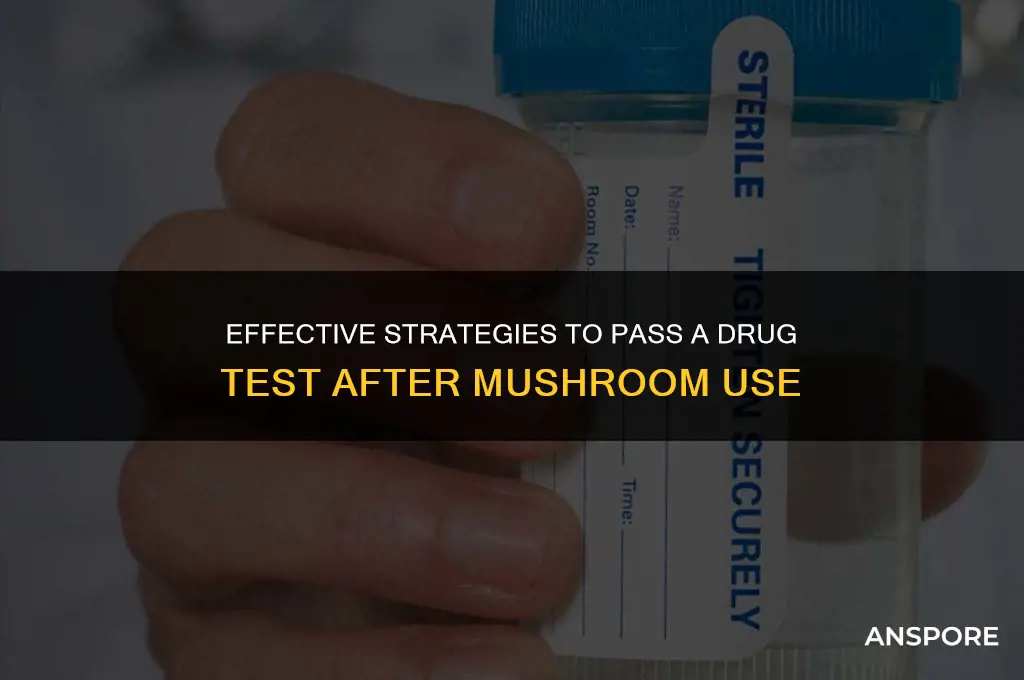 how to pass a drug test for mushrooms