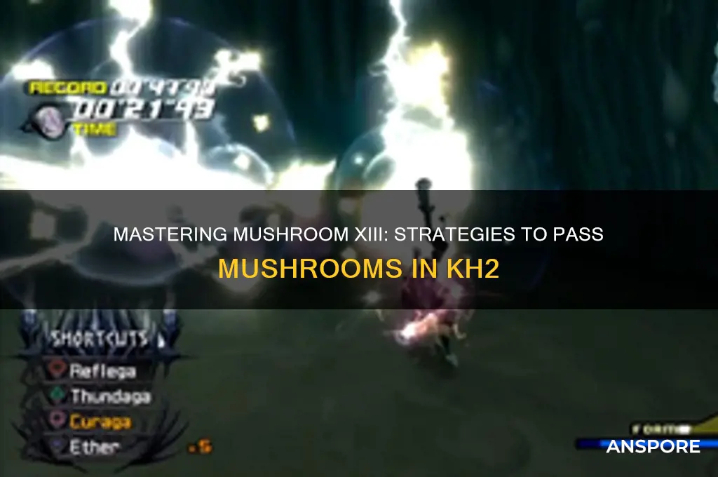 how to pass the mushrooms in kh2