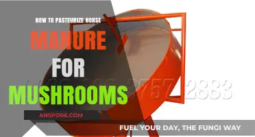 Pasteurizing Horse Manure for Mushroom Cultivation: A Step-by-Step Guide