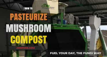 The Art of Pasteurizing Mushroom Compost
