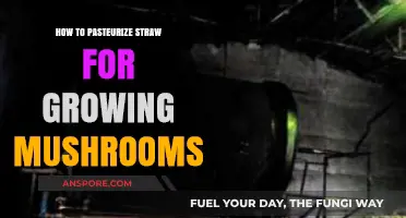 Mastering Mushroom Cultivation: Easy Pasteurization Techniques for Straw Substrate