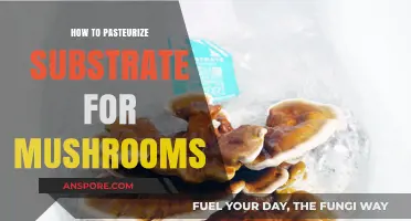 Mastering Mushroom Cultivation: A Guide to Pasteurizing Substrate Effectively