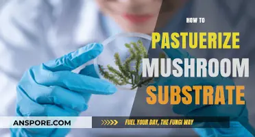 The Art of Pasteurizing Mushroom Substrate