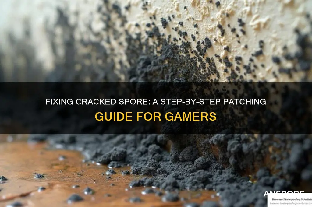 how to patch cracked spore