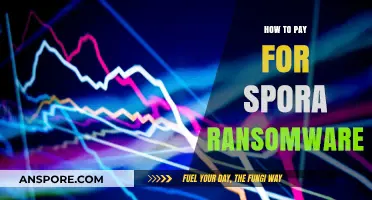 Navigating Spora Ransomware Payments: Strategies, Risks, and Alternatives